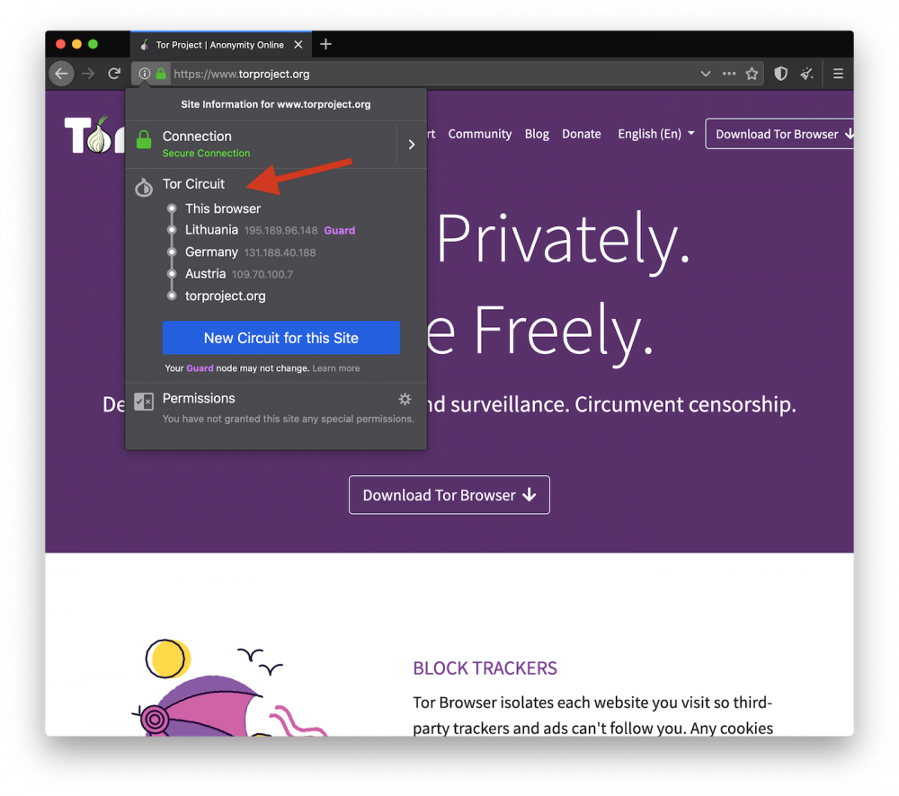 mail tor browser