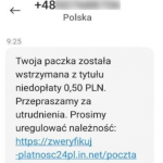 Zatrzymano w Polsce grupę wysyłającą SMSy „na dopłatę do paczki”.  1875 zarzutów…