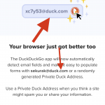 DuckDuckGo udostępnia adresy emailowe w domenie @duck.com. Maksymalne nastawienie na prywatność