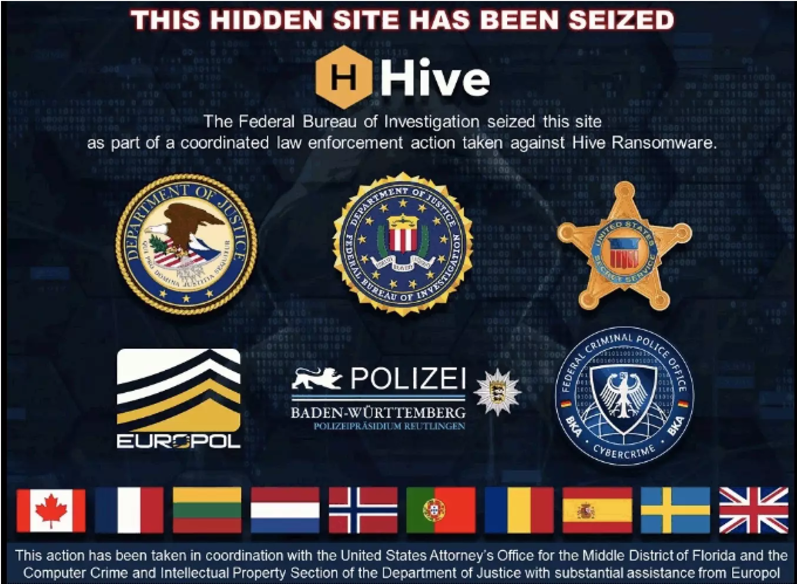Uderzyli w Hive – jedną z bardziej aktywnych grup ransomware. Zwinięta infrastruktura, odzyskane 1300 kluczy deszyfrujących (!)