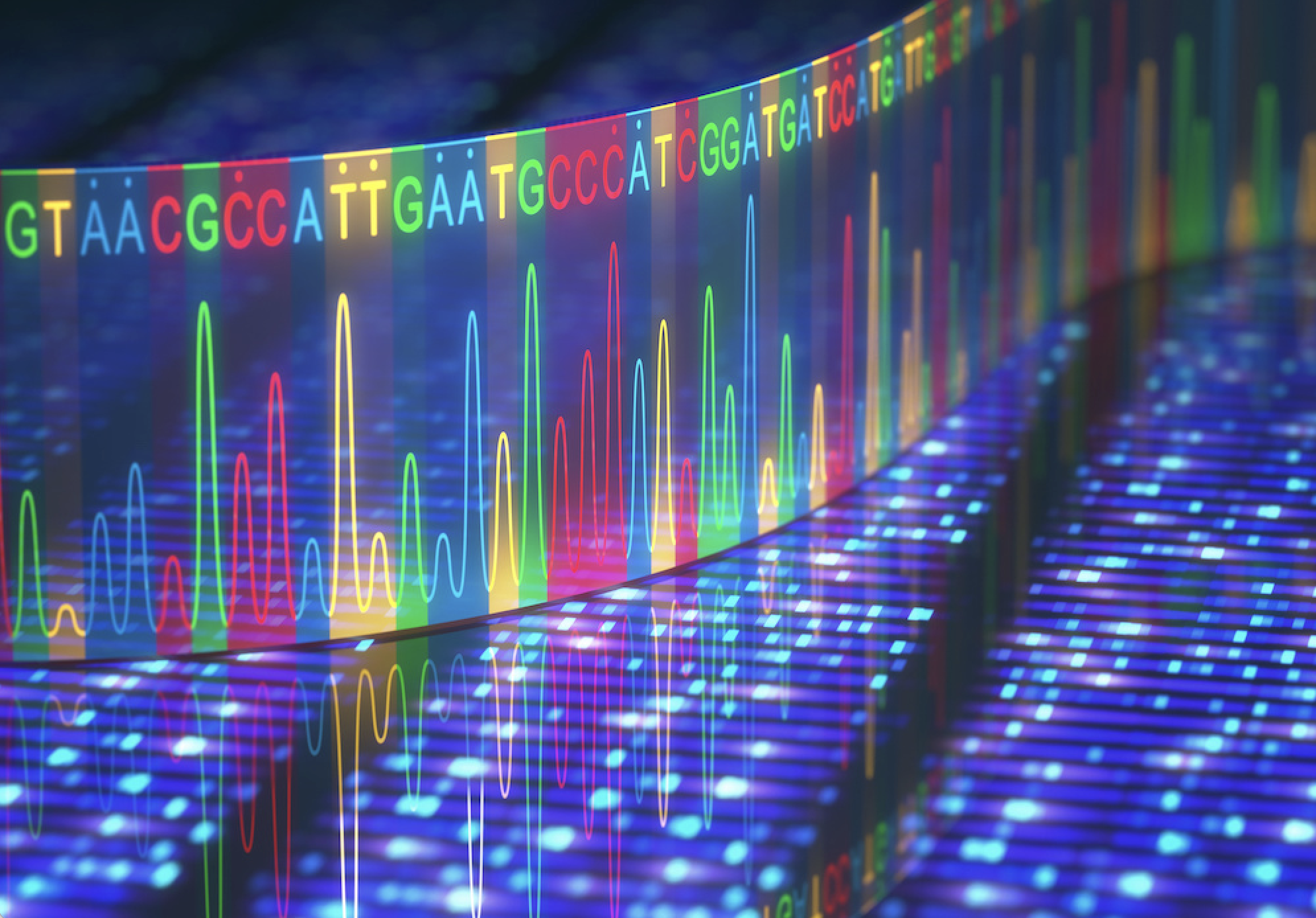 USA: aresztowano podejrzanego o morderstwo dzięki pozyskaniu jego DNA "z publicznej bazy"