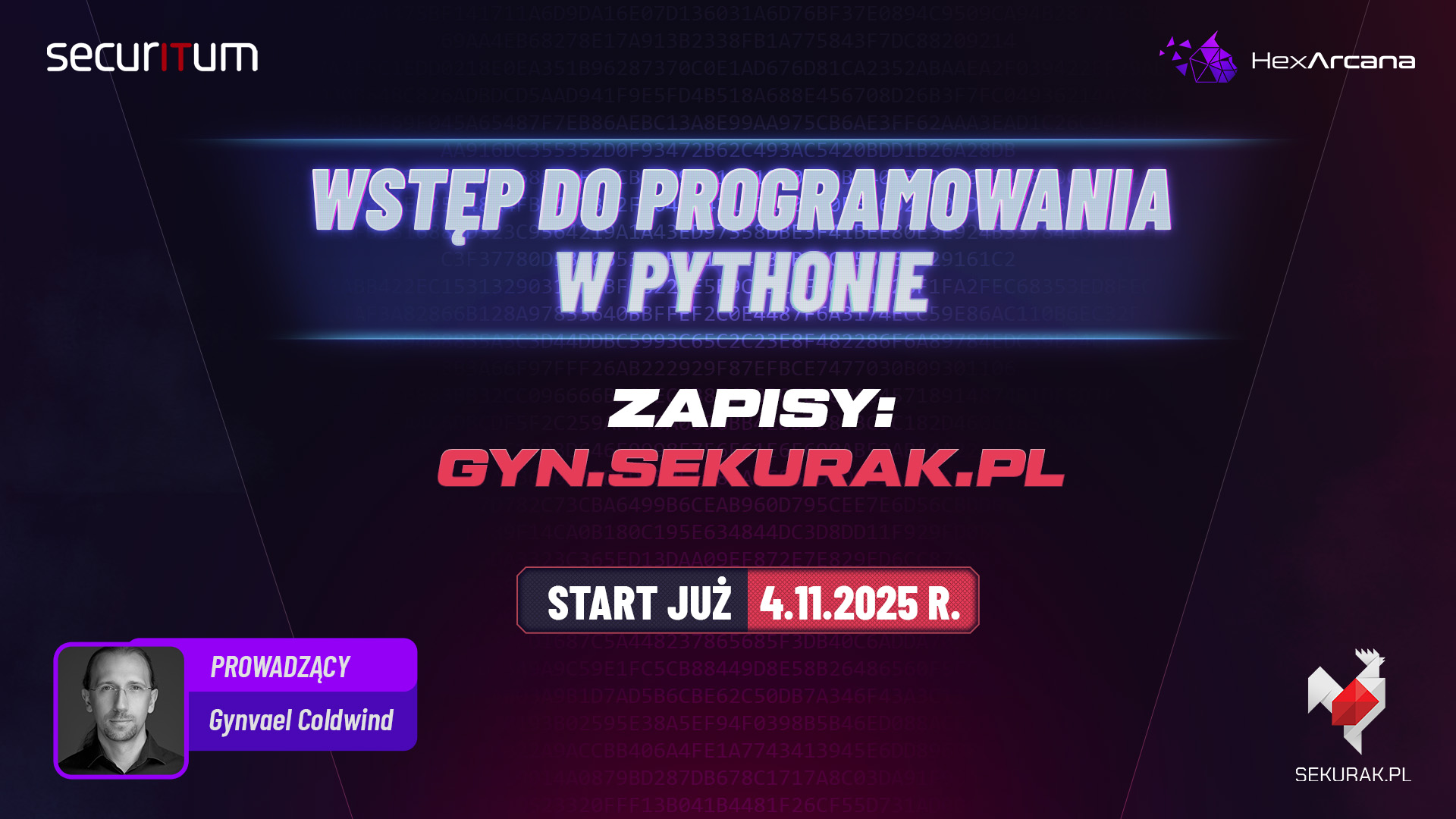 Pokażemy Ci jak programować w Pythonie (bezpłatnie!)